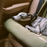 Car Companion - Siège auto pour chien en forme banquette - Pillow Pilou