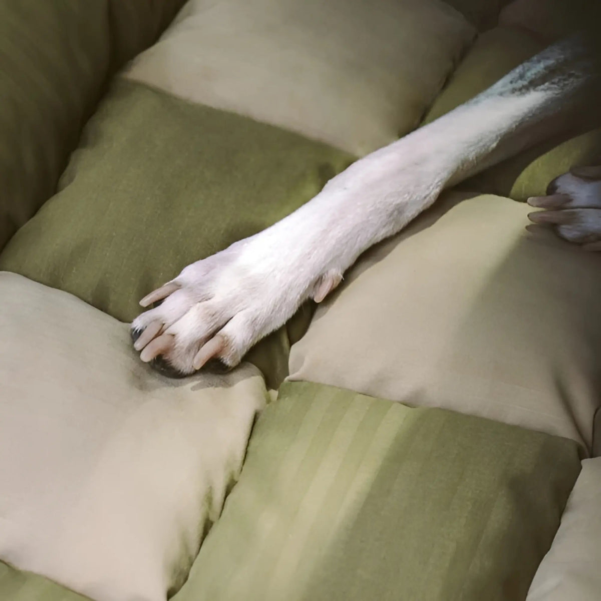 Car Companion - Siège auto pour chien en forme banquette - Pillow Pilou