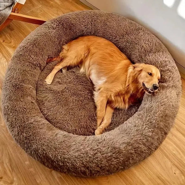 Cloudy Cuddle™ - Pillow Pilou