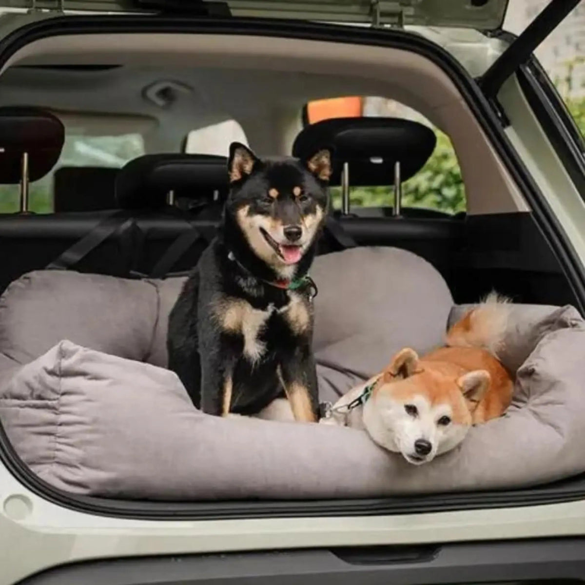 Elite Explorer - Siège auto pour chien XXL - Pillow Pilou