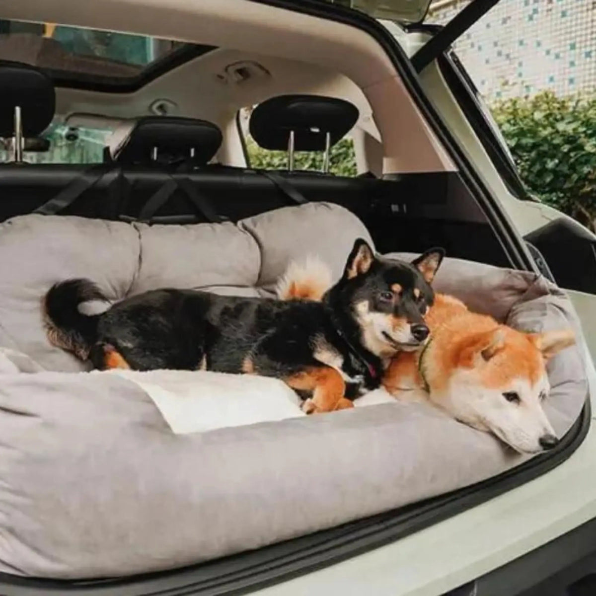 Elite Explorer - Siège auto pour chien XXL - Pillow Pilou